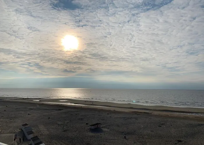 Parel Aan Het Strand